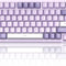 Computer Accessories
